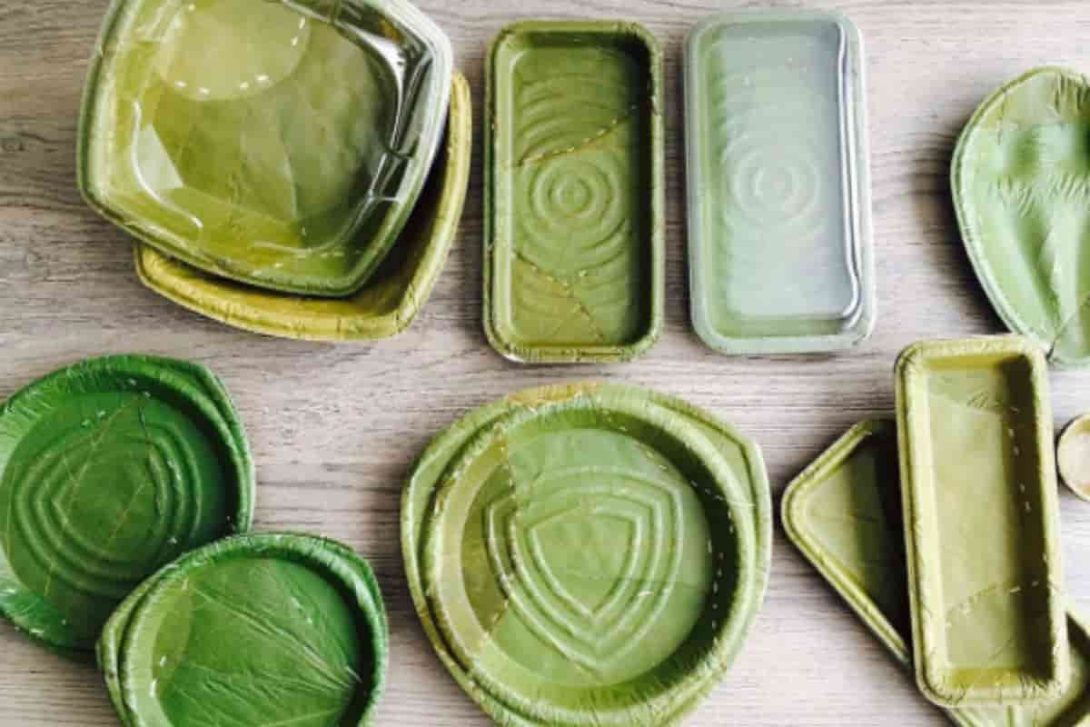  Buying biodegradable plates types with the best price 