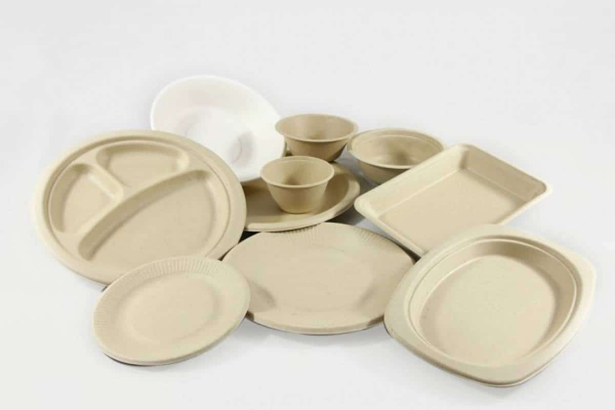  Buying biodegradable plates types with the best price 