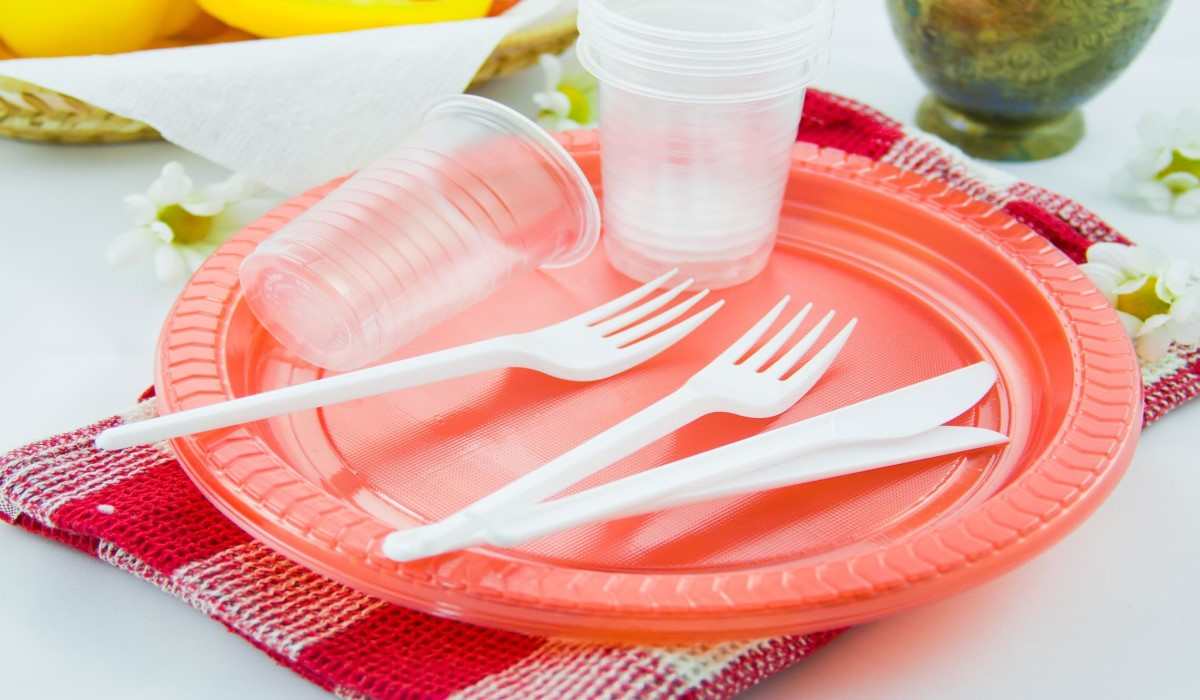  camping plastic dishes purchase price + quality test 