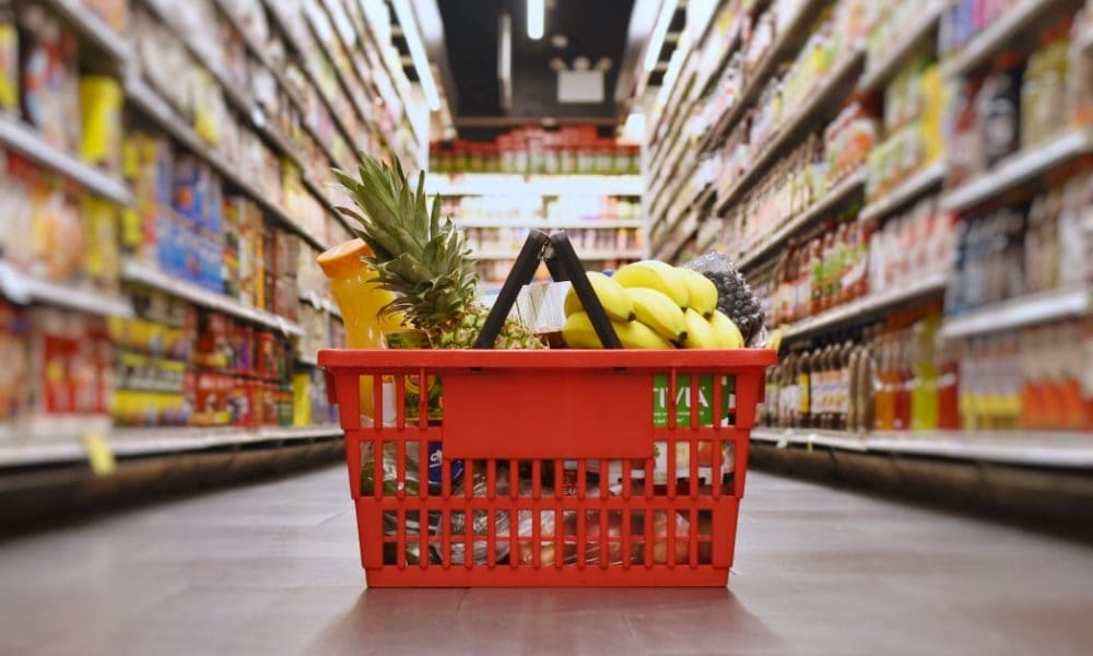  Purchase And Day Price of Basket With Handles 